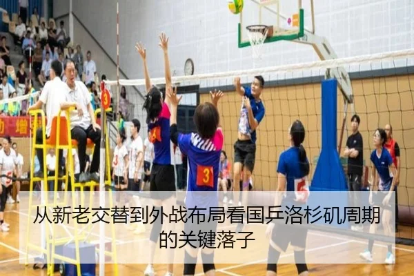 从新老交替到外战布局看国乒洛杉矶周期的关键落子